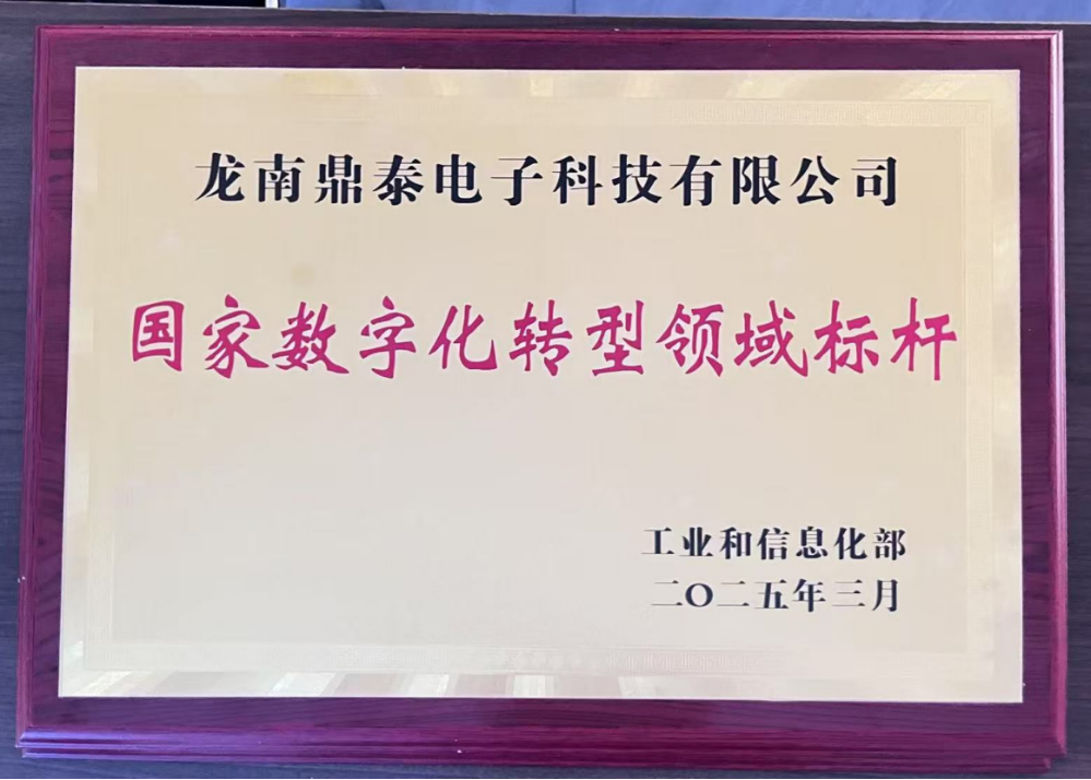 国家数字化转型领域标杆